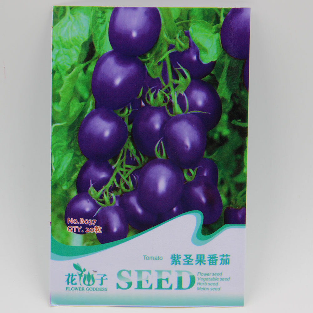 Томат фиолетовый отзывы фото урожайность Томат фиолетовый отзывы фото урожайность