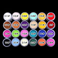 1Pcs Decorate Velvet Fiber Nail Polish Set Professional Nail Art Cosmetics Varnish Nail Enamel 24