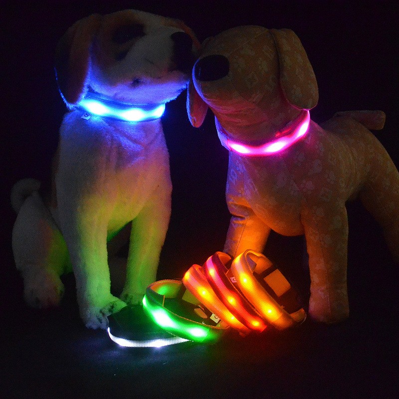 lighted dog collars