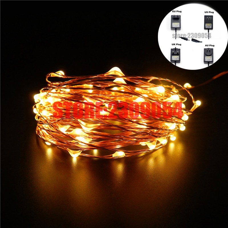 99Ft-30m-300-Leds-Copper-Wire-Warm-White-LED-String-Lights-Starry-Lights-Fairy-lights-12V (5)