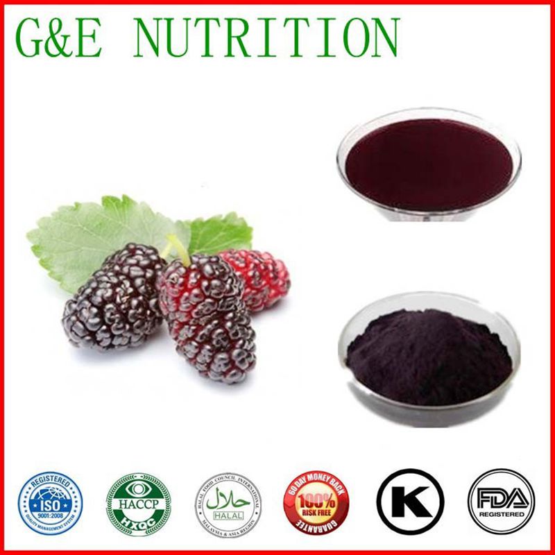 100% natural Mulberry Fruit Extract/ Mulberry Extract powder  20:1   600g