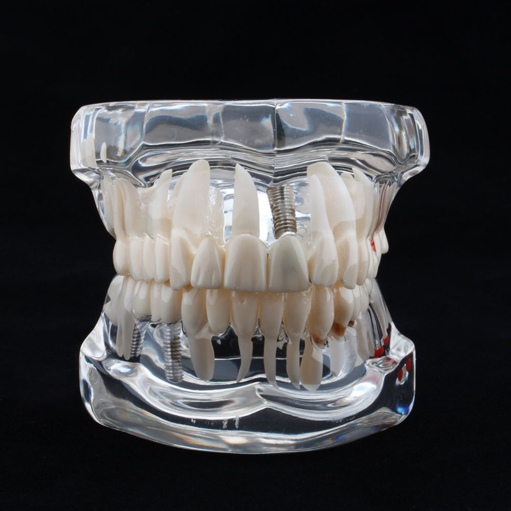 Dental First Интернет Магазин Стоматологические