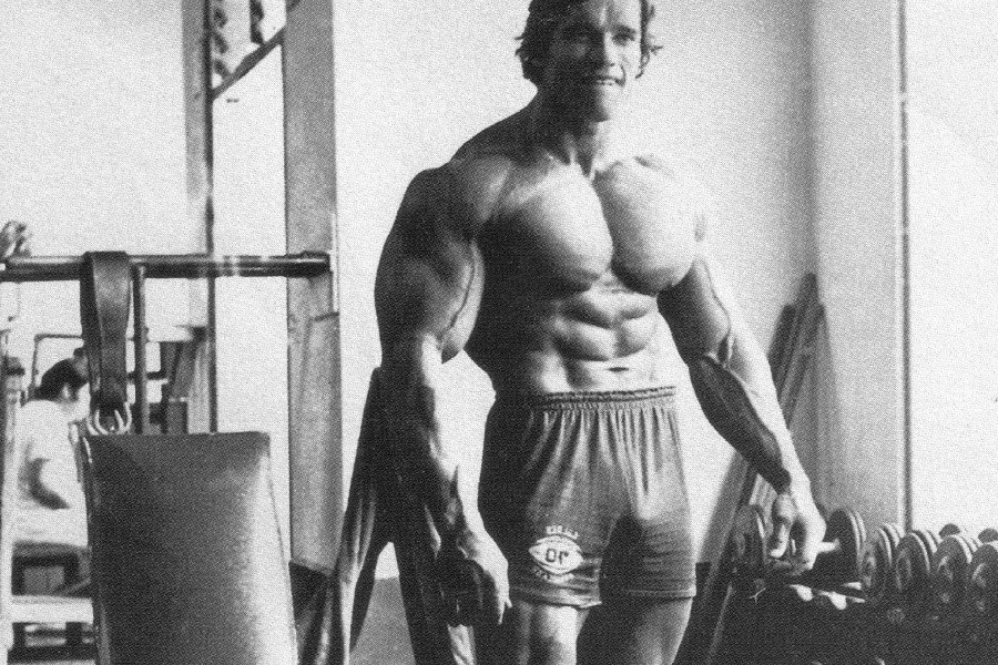 Arnold Schwarzenegger Posters Bodybuilding - Compra Lotes Baratos De ...