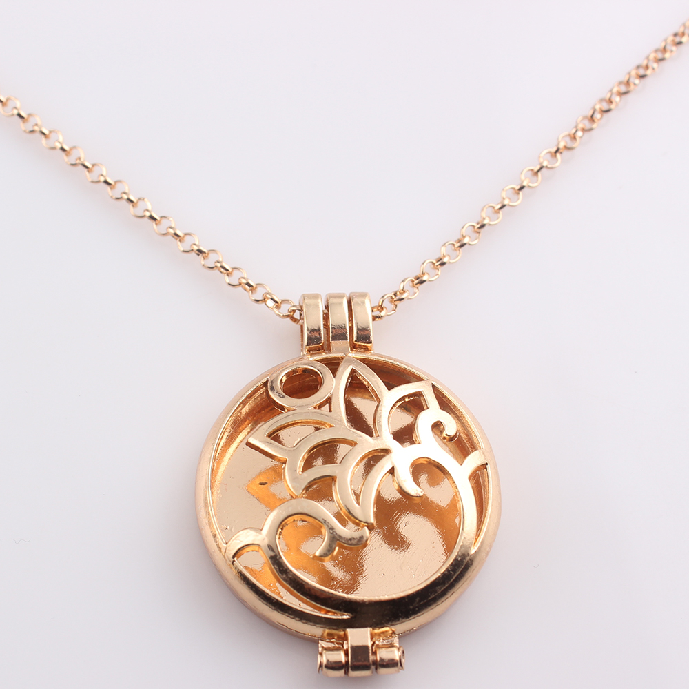 Popular Long Chain LocketsBuy Cheap Long Chain Lockets lots from China