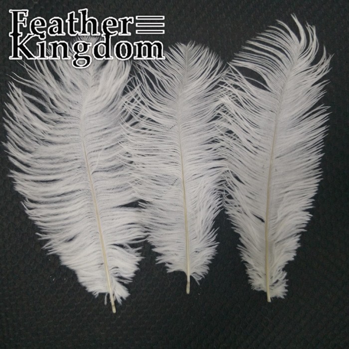 20-25cm white ostrich feather 1
