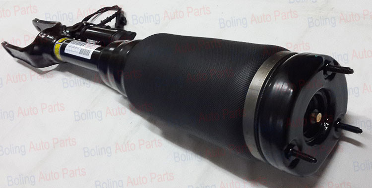W251 front air suspension shock absorber 2