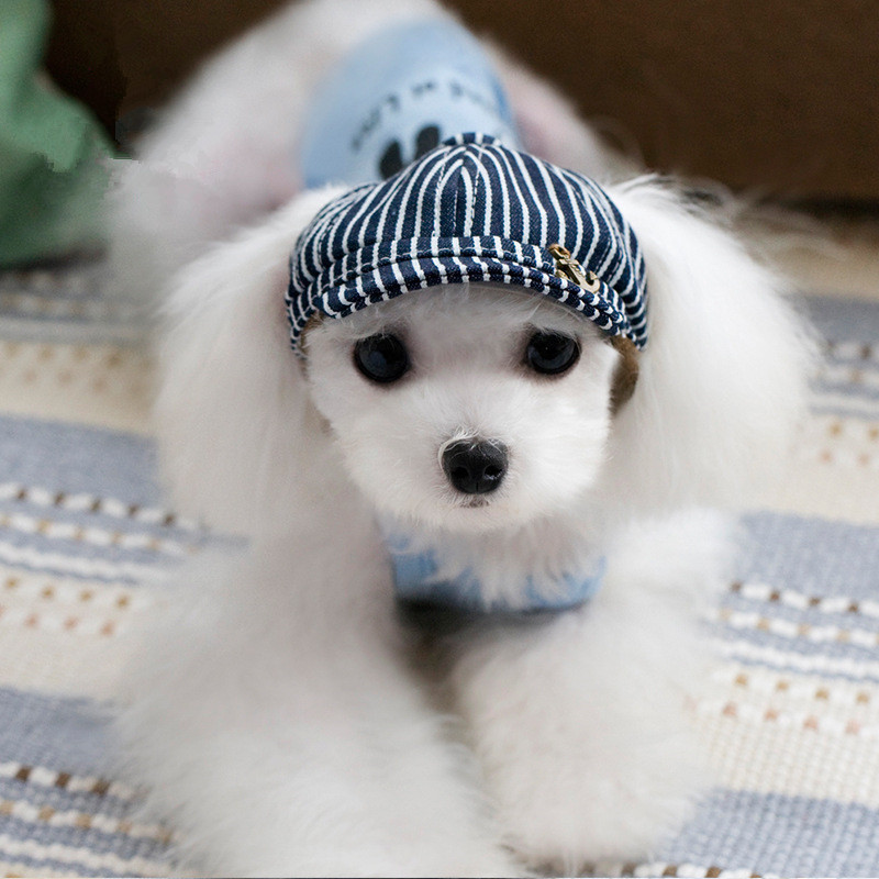 Online Buy Wholesale hats for dogs from China hats for dogs Wholesalers