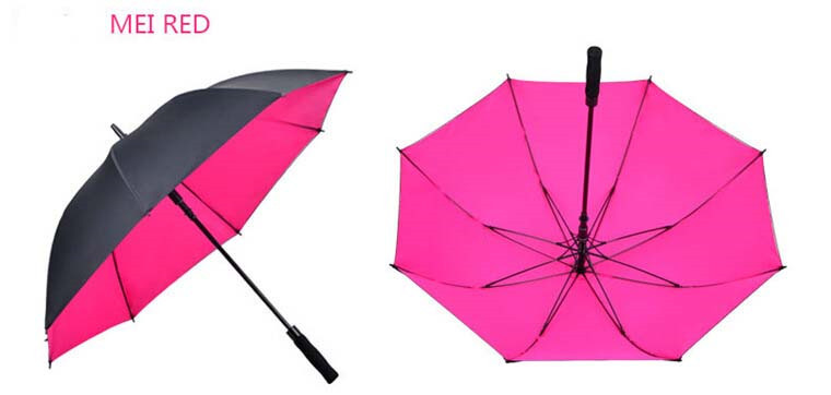 Umbrella paraguas guarda chuva22.jpg