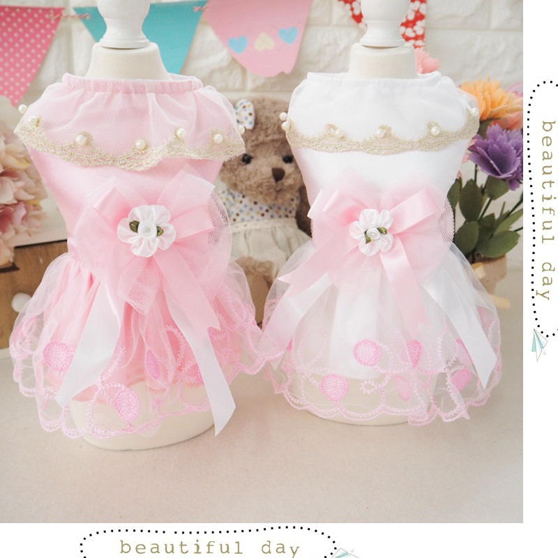teacup yorkie clothes cheap popular white teacup dogs buy cheap white teacup dogs lots from china white teacup teacup yorkie clothes cheap popular white teacup dogs buy cheap white teacup dogs lots from china white teacup