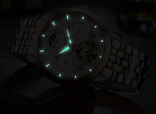HTB1qzWYNpXXXXcfXXXXq6xXFXXXR