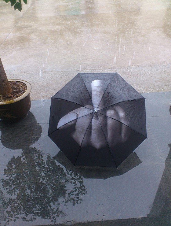 Free-Shipping-1Piece-Middle-Finger--Umbrella-Up-Yours-Umbrella (3)