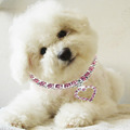 Crystal Diamante Love Heart Rhinestone Pendant Pet Necklace Collar Dog Jewelry