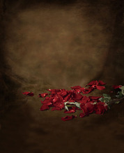 Custom Backgrounds Baby Backdrops Photography Backgrounds For Photo Studio Backdrops For Photography Hot