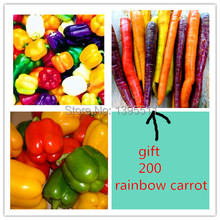 100 rainbow sweet pepper  Seeds,send 200 rainbow carrot  seeds as gift  vegetable  Seeds For Home Garden planting