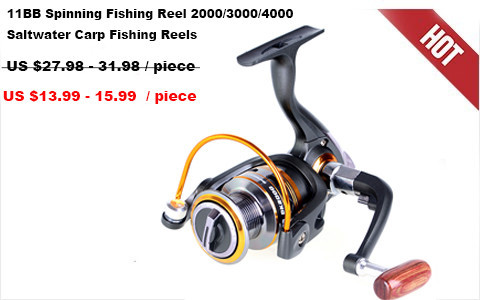 fishing reel 1