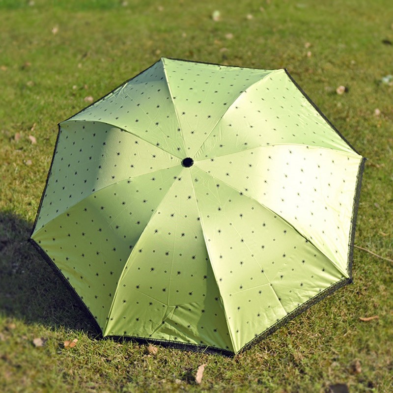 Umbrella-006-11