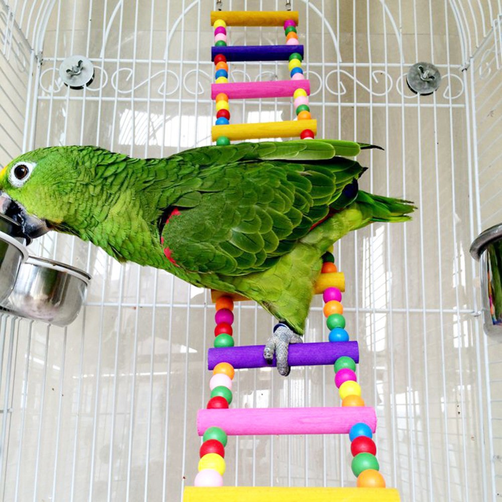 New-2015-Parrot-Bird-Toys-The-Parrot-Climbing-Activities-Ladder-Swing-Toys-Cage-Bar-Station-Server
