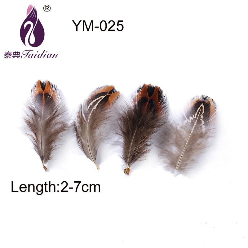 YM-025 Natural Feather 2-7cm Length Hot sale Pretty high quality chicken plumes