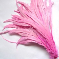 pink rooster feathers