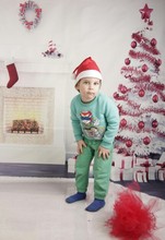 300CM*200CM(about 10ft*6.5ft) backgrounds Zebra stove Christmas gifts photography backdrops photo LK 1361