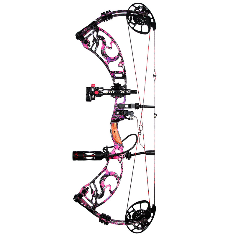 Dragon tales hunting compound bow 40 60lbs Black color bow and arrow set Cjina archery