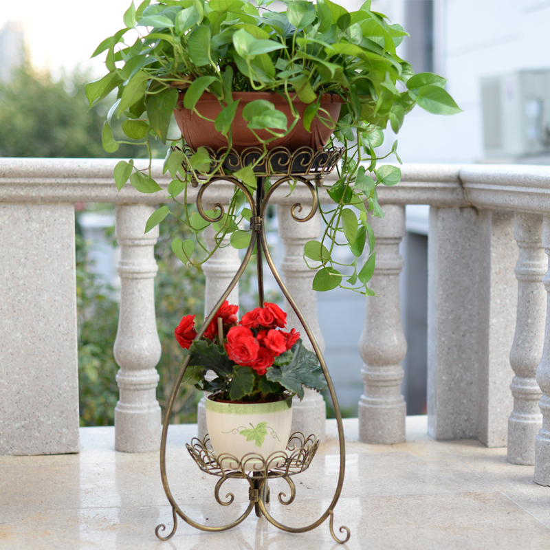 Купить ecdaily continental iron flower green radish spider c.
