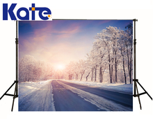 6.5X10Ft Backgrounds For Photo Studio Photography Backdrops Sunset Blue Sky The Tree Cover Snow Road For Wedding Thick Cloth