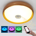 Bedroom 36W D47x12CM RGB Music LED Ceiling Light With Bluetooth Control Color Changing Lighting Led Ceiling