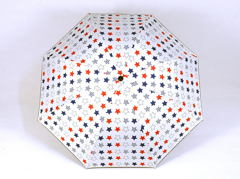 umbrella Paraguas07.jpg