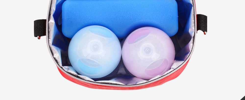 thermal bag (11)
