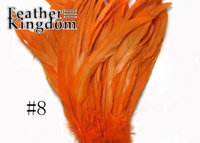 orange cock tail feather