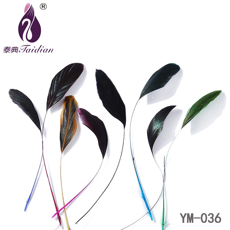YM-036 Feather