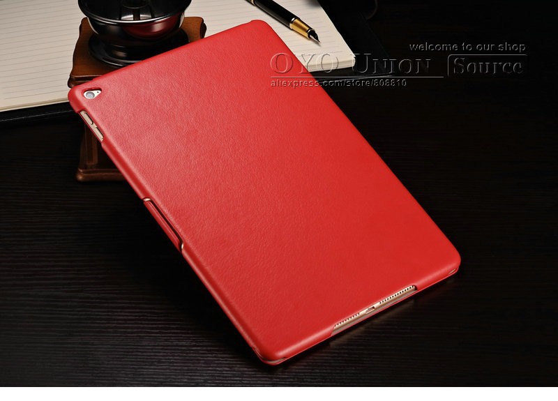 iPad case_12