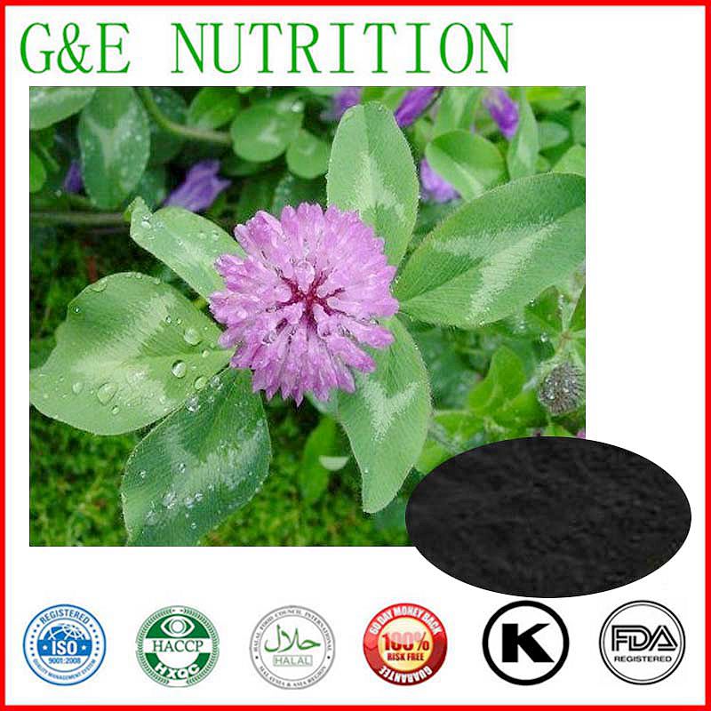 Red Clover Extract in various specification Flavone/Red Clover P.E. 1000g