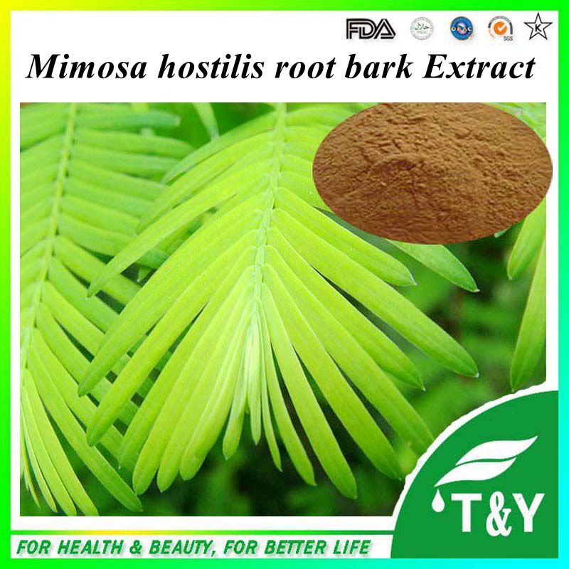 GMP Natural High Quality Mimosa hostilis root bark Extract Powder 700G