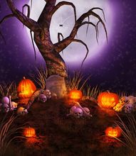 300cm*600cm(10x20ft) photography backdrops halloween Withered grass pumpkins photo studio background ZJ