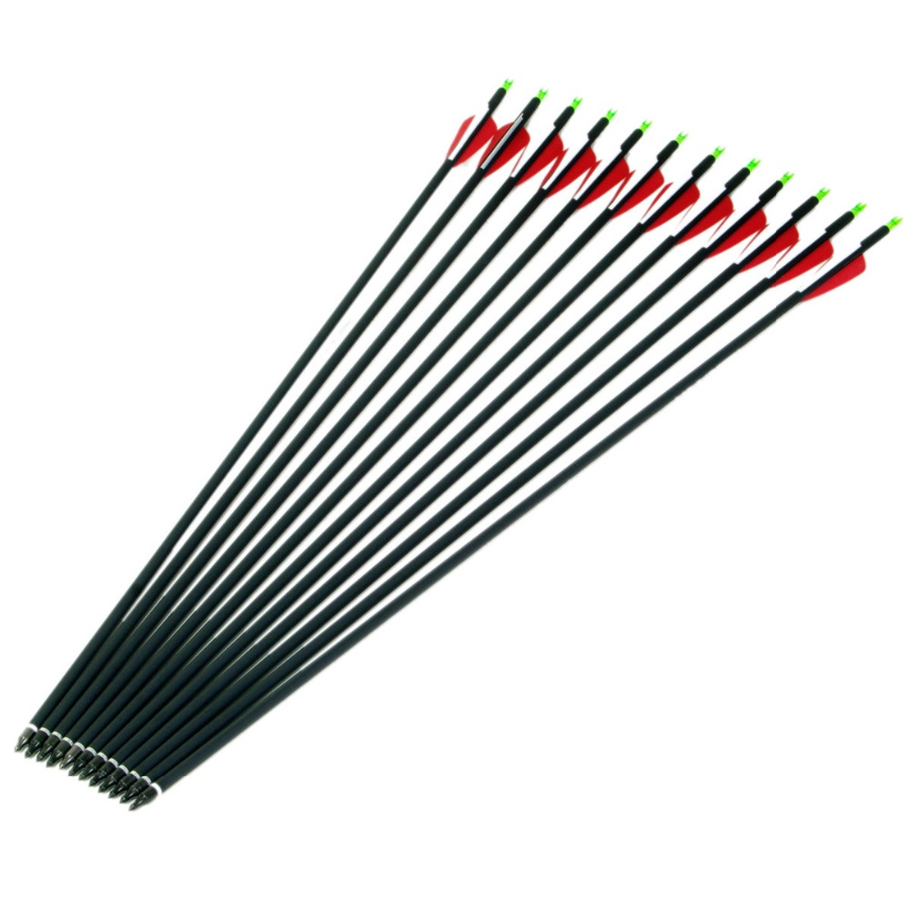 12 Pcs 30 Archery Carbon Arrows with Replaceable Arrowheads and Plastic Feathers Spine 500 Fit for