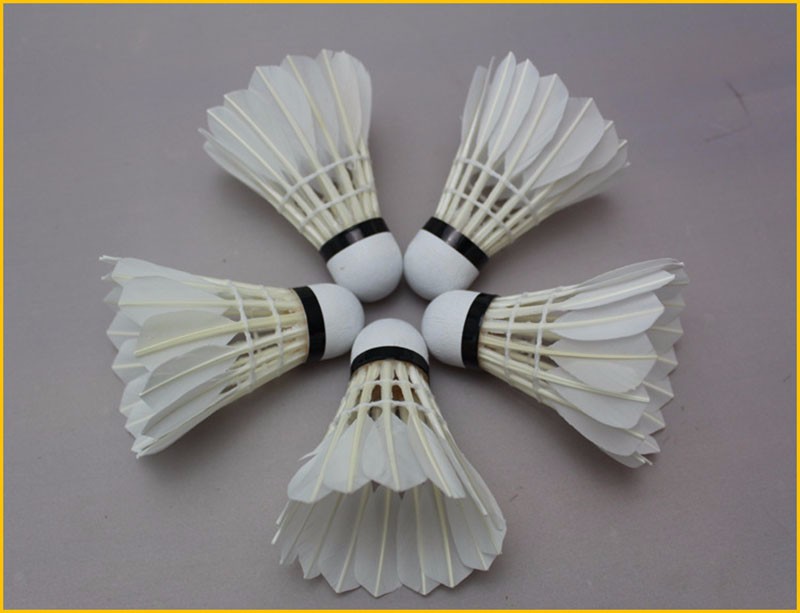 1959684425_984585881