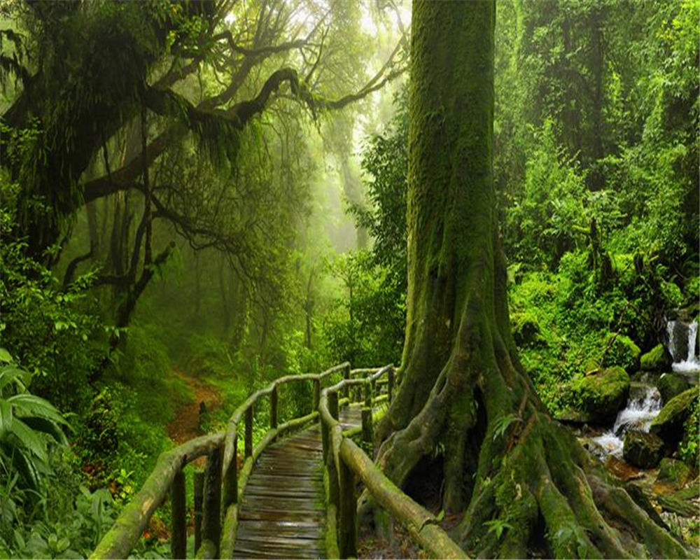 Alta qualità alberi da parati acquista a basso prezzo alberi da ...