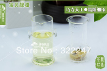 FREE SHIPPING Coffee Tea Sets 240ml glass flower teapot 4 Double wall Cup PIAOYi FCB002