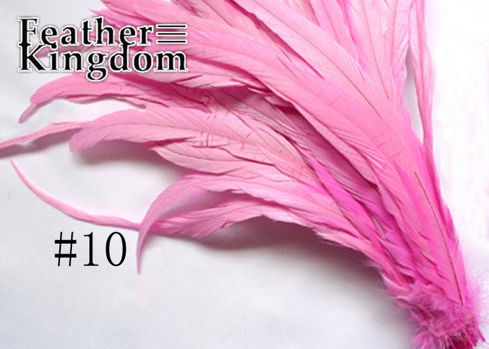 pink rooster tail feather
