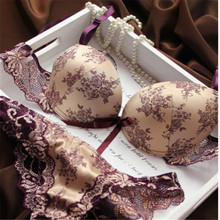Sexy Women Thin Lace Floral Underwear Push Up Bra Sets & Panty V Plunge Embroidery Lingerie Sets Cup B C