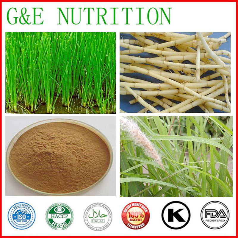 Lalang Grass Rhizome Extract, Lalang Grass Powder     20: 1  600g
