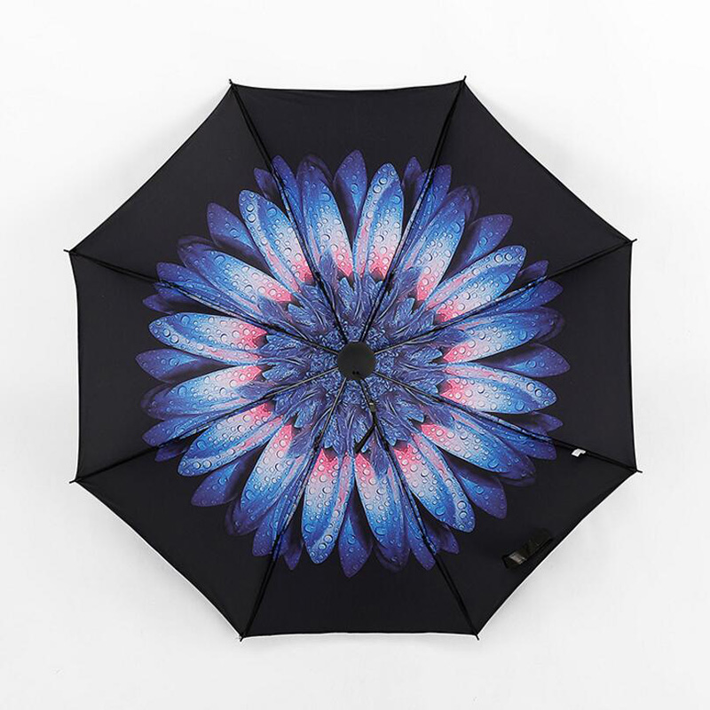 3D           Paraguas  Parapluie   
