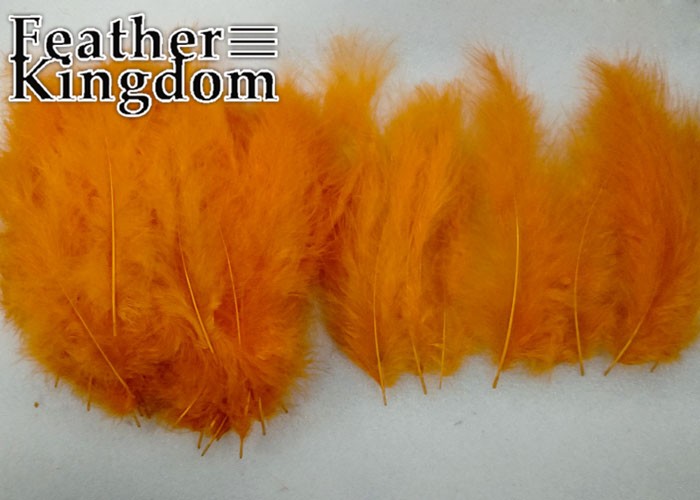 orange Turkey feather 1