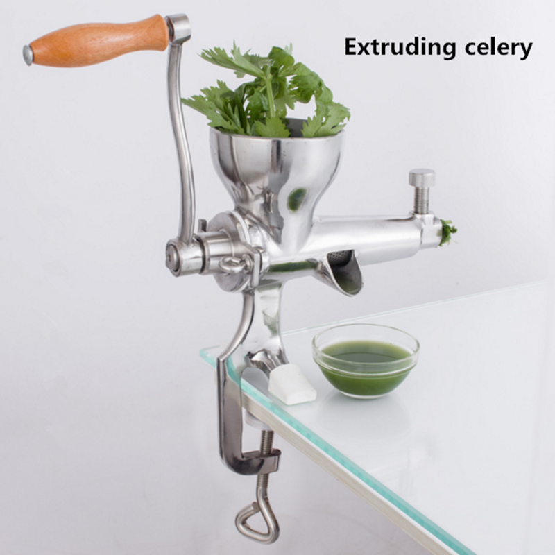 Magic food juicer processor bullet will