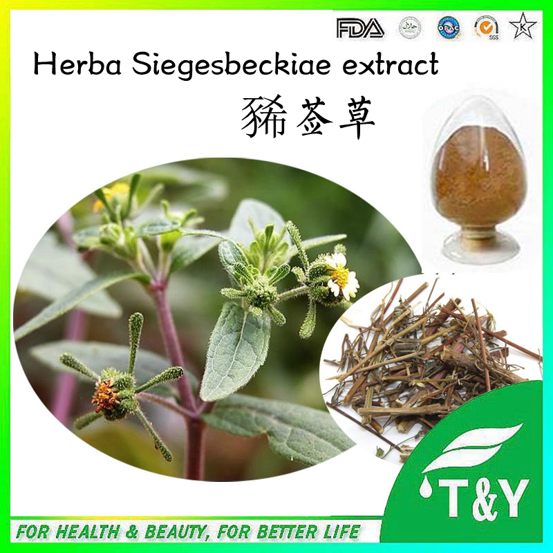 Herbal Extracts Overnight Delivery