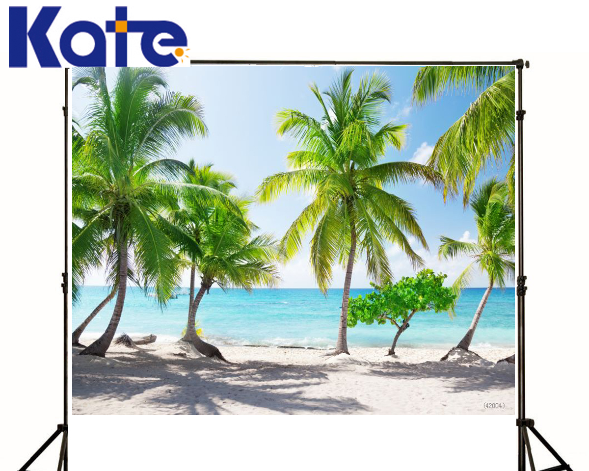 font b Photo b font Backdrops Trees Land Sea Sun White Clouds Blue Sky font