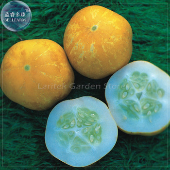 Rare Lemon Cucumber Seeds, 50 Seeds, Professional Pack, heirloom hybrid fruits E4086