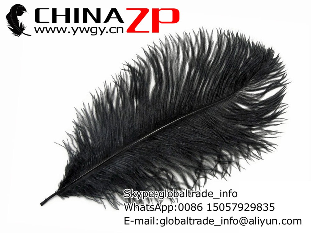 Ostrich Feathers, 10 Pieces - 9-10 BLACK Ostrich Drab Bleached Feathers